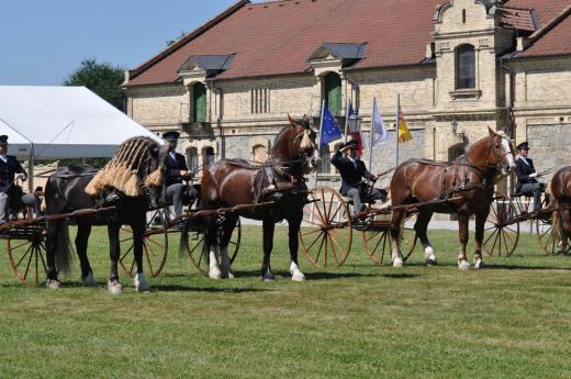 Koňské slavnosti 2016