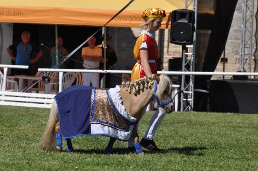 Koňské slavnosti 2016