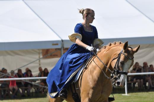 Koňské slavnosti 2016