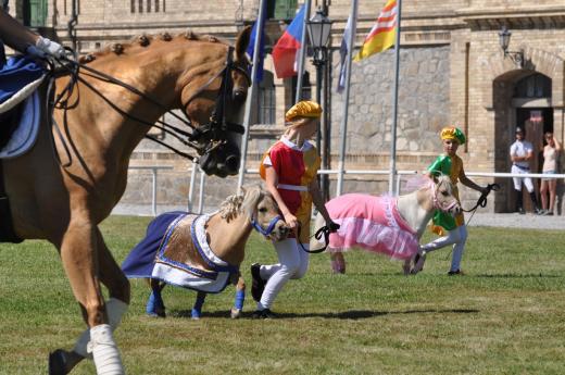 Koňské slavnosti 2016