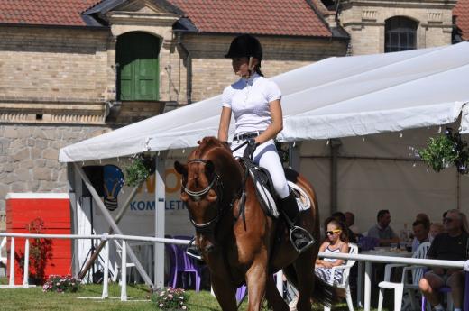 Koňské slavnosti 2016