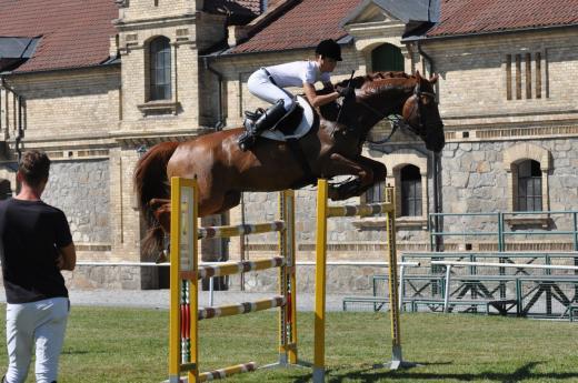 Koňské slavnosti 2016