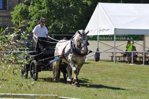 Koňské slavnosti 2016