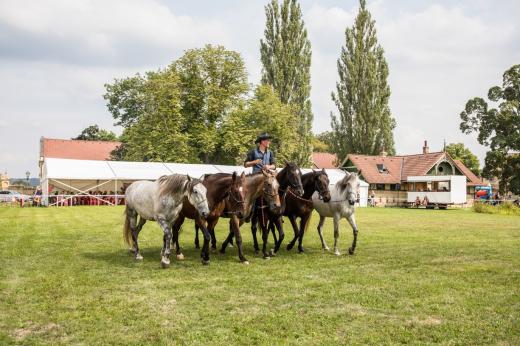 Koňské slavnosti města Hluboká nad Vltavou 2019