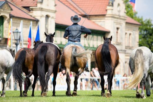 Koňské slavnosti města Hluboká nad Vltavou 2019