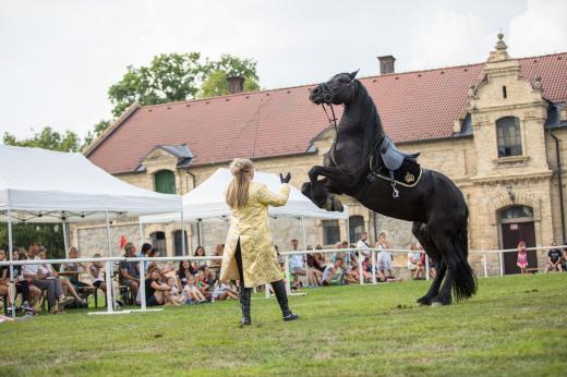 Koňské slavnosti města Hluboká nad Vltavou 2019