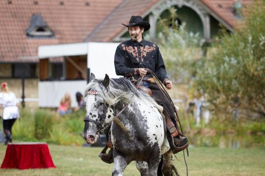 Koňské slavnosti města Hluboká nad Vltavou 2018