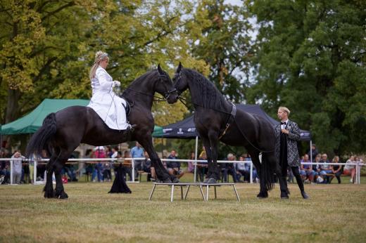 Koňské slavnosti města Hluboká nad Vltavou 2018