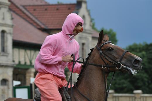 Malá cena města Hluboká nad Vltavou