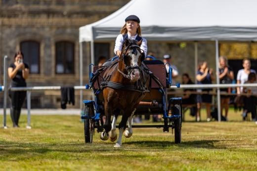 Koňské slavnosti města Hluboká nad Vltavou 2025