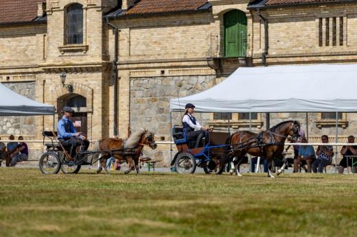 Koňské slavnosti města Hluboká nad Vltavou 2025