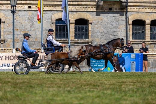Koňské slavnosti města Hluboká nad Vltavou 2025
