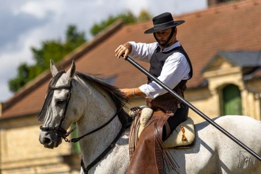 Koňské slavnosti města Hluboká nad Vltavou 2025