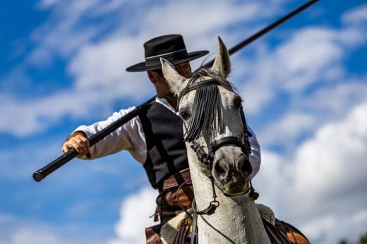 Koňské slavnosti města Hluboká nad Vltavou 2025