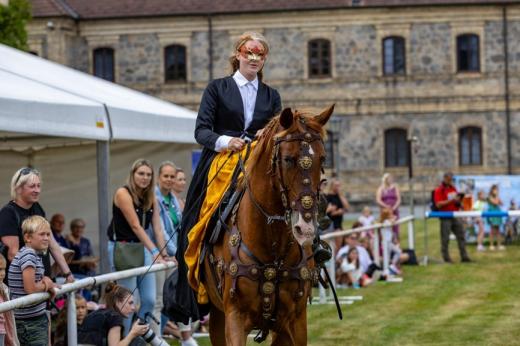 Koňské slavnosti města Hluboká nad Vltavou 2025