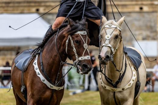 Koňské slavnosti města Hluboká nad Vltavou 2025