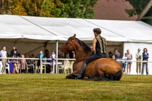 Koňské slavnosti města Hluboká nad Vltavou 2025