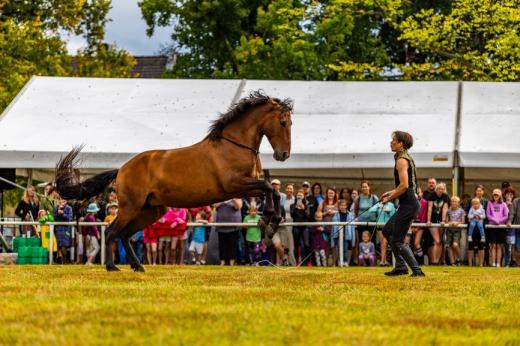 Koňské slavnosti města Hluboká nad Vltavou 2025