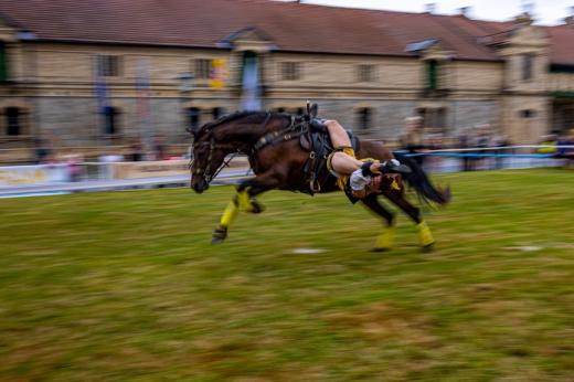 Koňské slavnosti města Hluboká nad Vltavou 2025