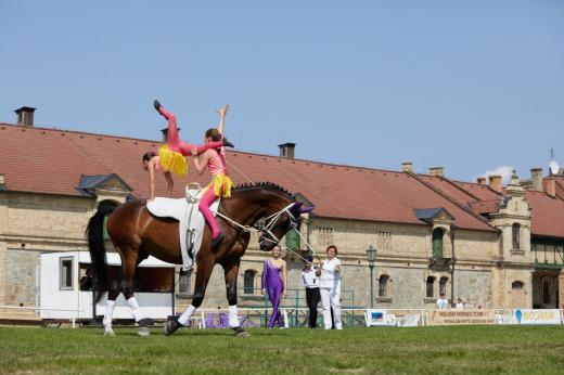 Koňské slavnosti 2017