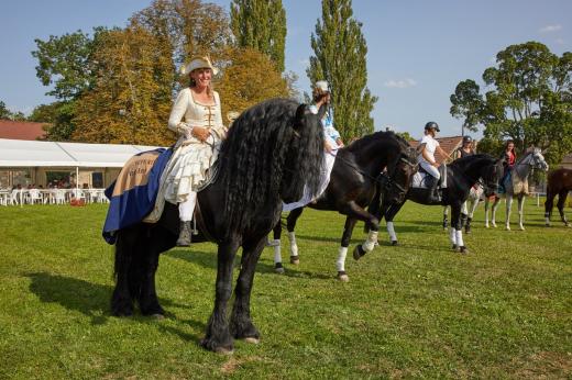 Koňské slavnosti 2017