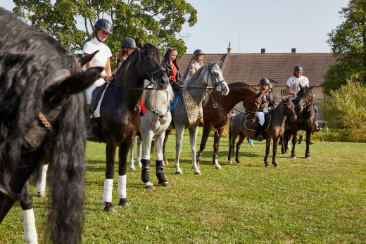 Koňské slavnosti 2017