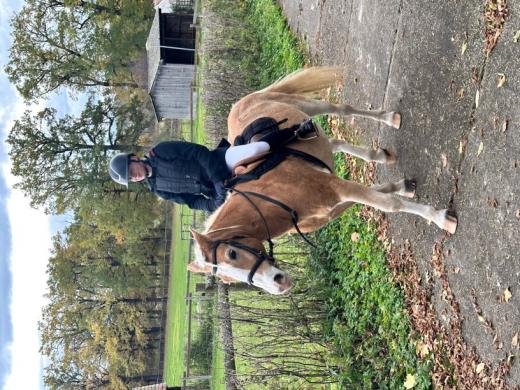 Hubertovská vyjížďka 2025