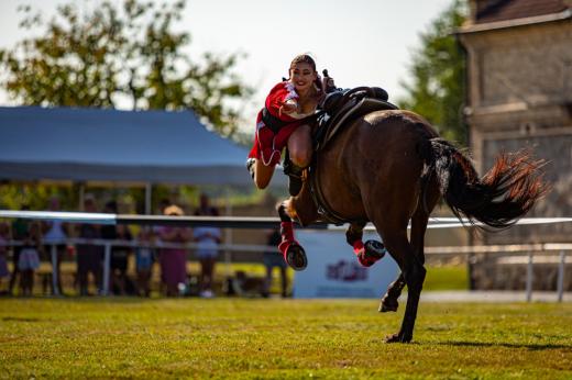 Koňské slavnosti města Hluboká nad Vltavou 2024