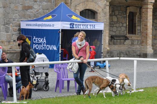 Velká cena města Hluboká nad Vltavou